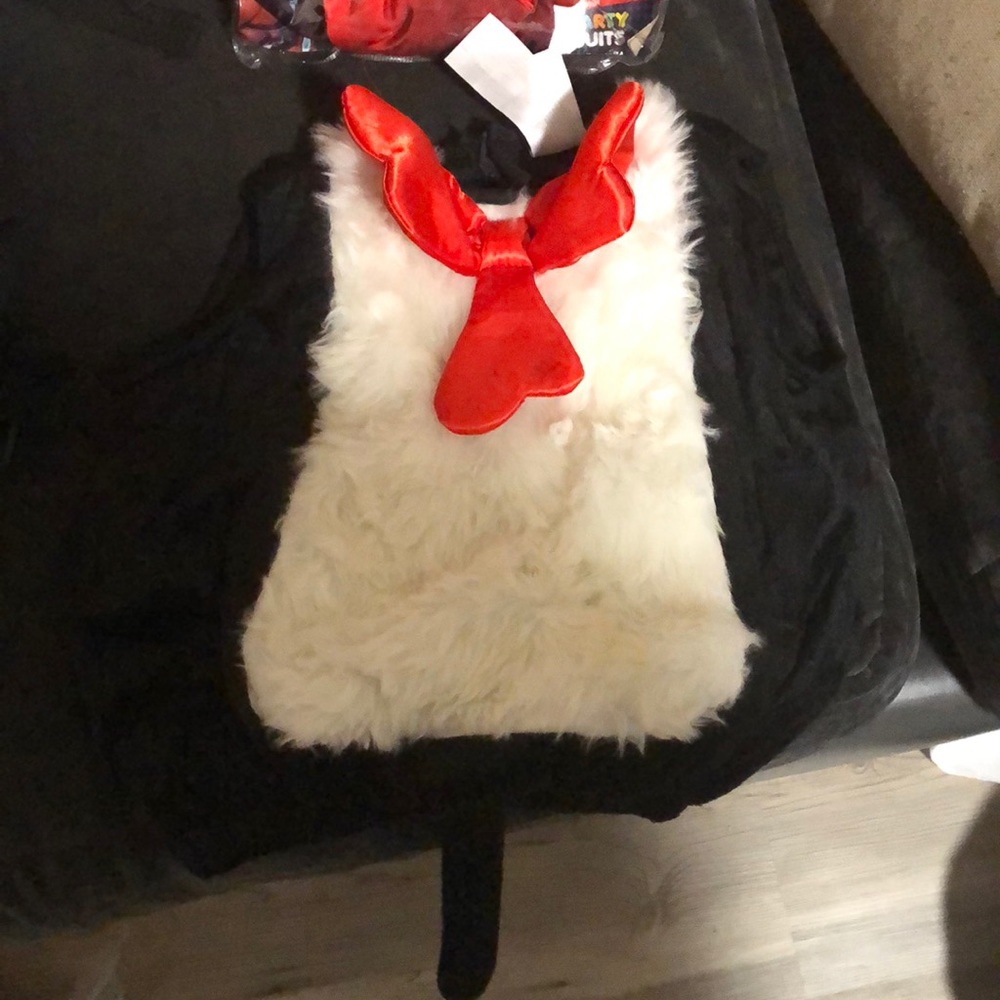 Costume